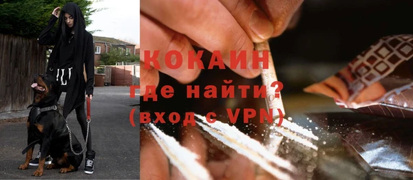 дживик Надым
