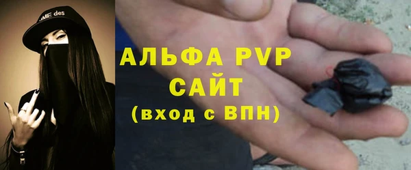 дживик Надым