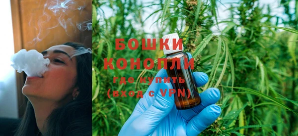 дживик Надым
