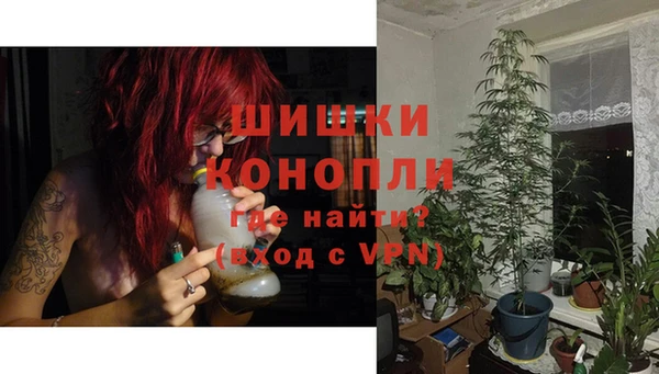 дживик Надым