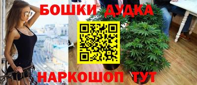 spice Балахна