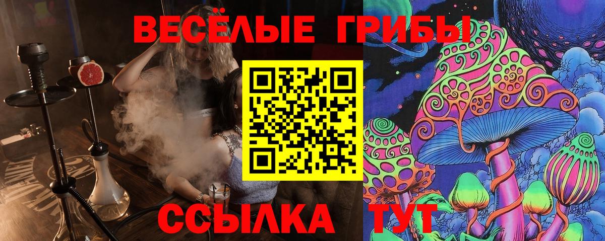 Галлюциногенные грибы MAGIC MUSHROOMS  Псилоцибиновые грибы Psilocybine cubensis  Борзя 