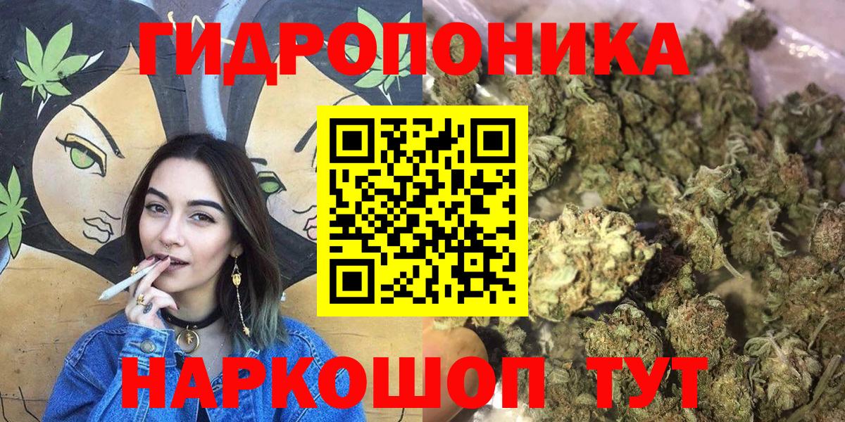 Бошки Шишки ГИДРОПОН  Конопля гибрид  Борзя  Вход с VPN  Бошки Шишки Bruce Banner 