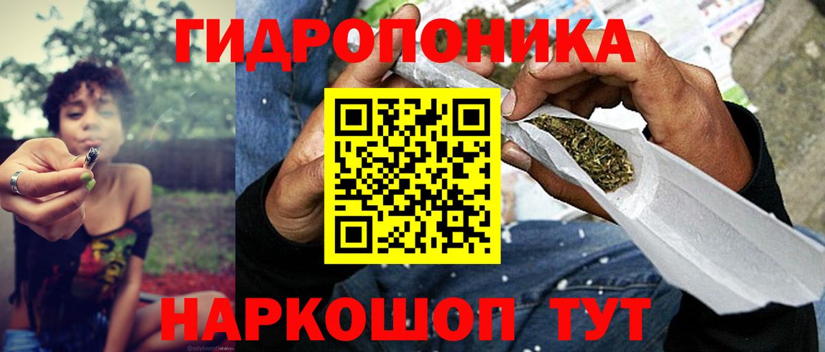 Каннабис OG Kush Борзя